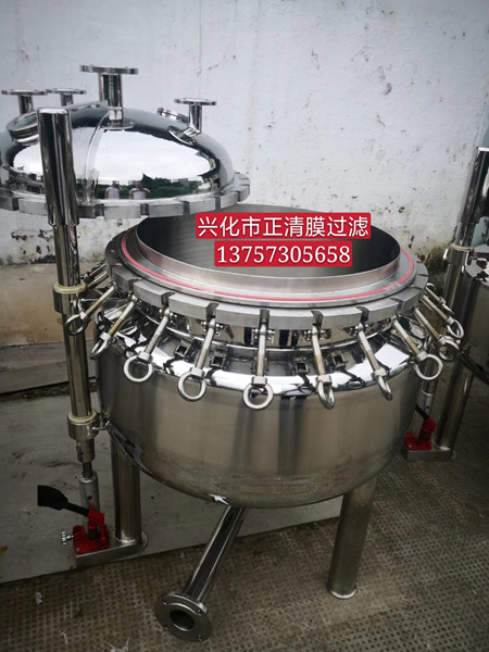 Quick open multi bag filter